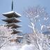 屋外の景色