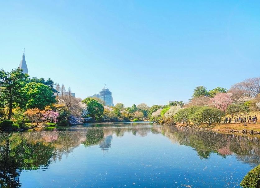 屋外の景色 写真