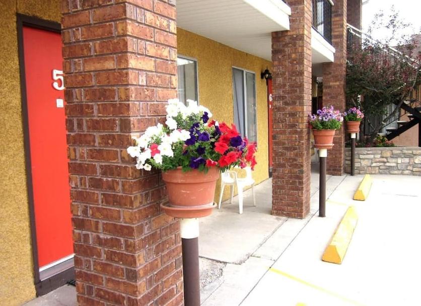 屋外の景色 写真