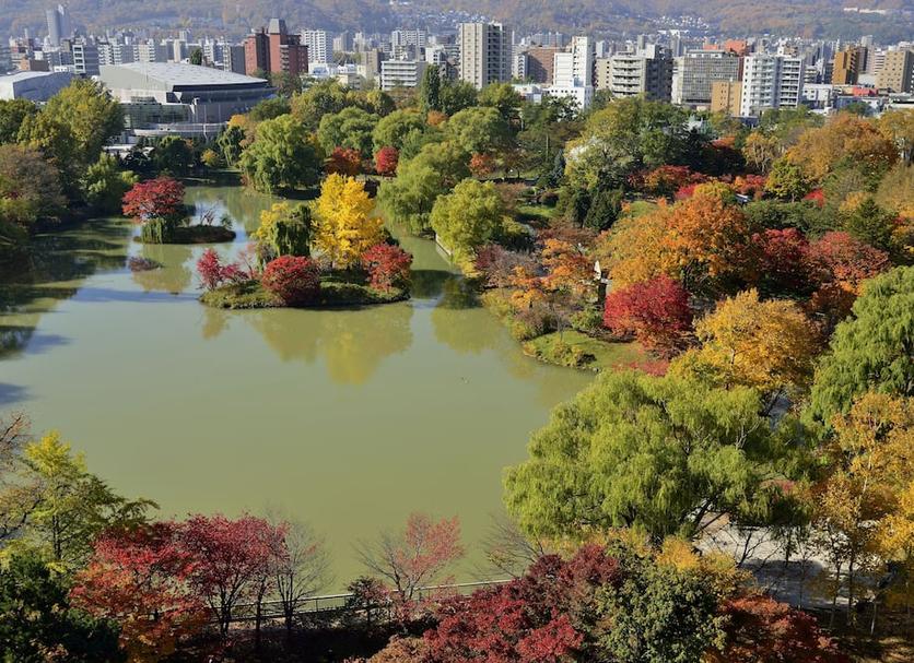 屋外の景色 写真