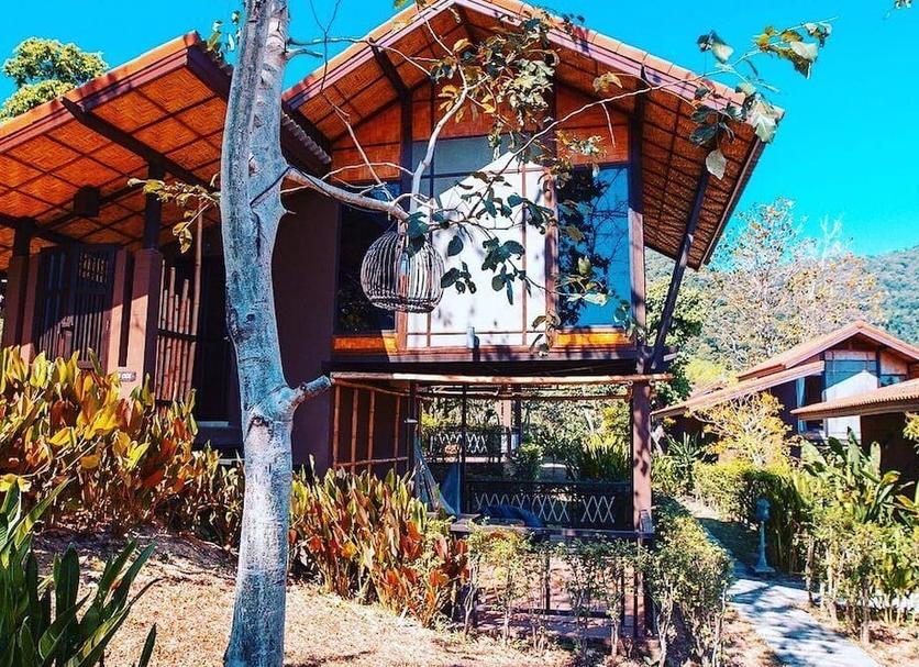 屋外の景色 写真