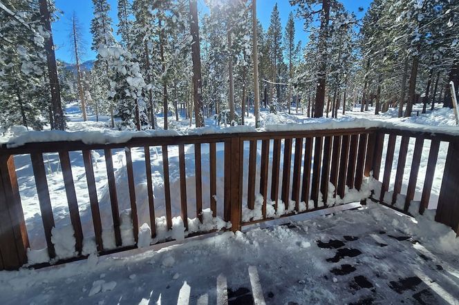 シナモン ベアー イン