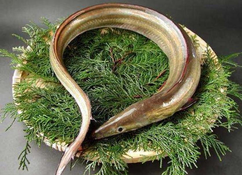 その他 写真