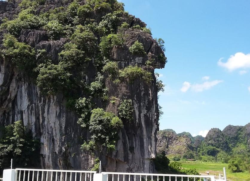 屋外の景色 写真