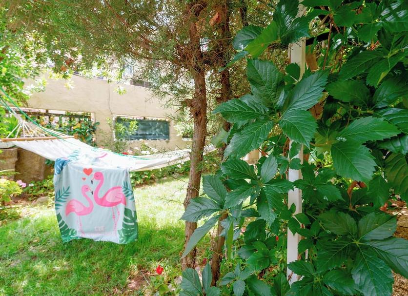 屋外の景色 写真