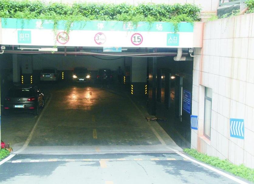 屋外の景色 写真