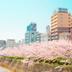 屋外の景色