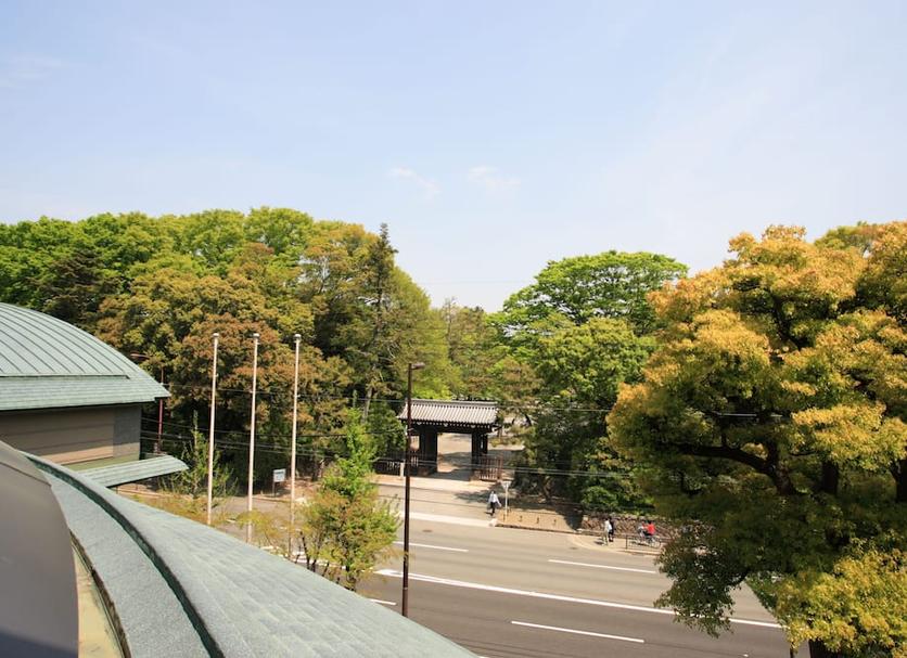 屋外の景色 写真