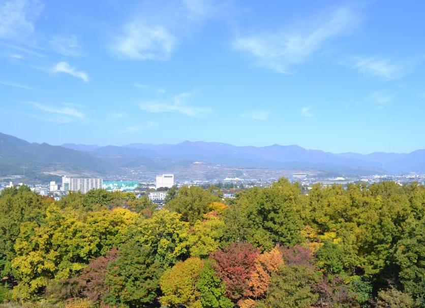 屋外の景色 写真