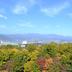 屋外の景色