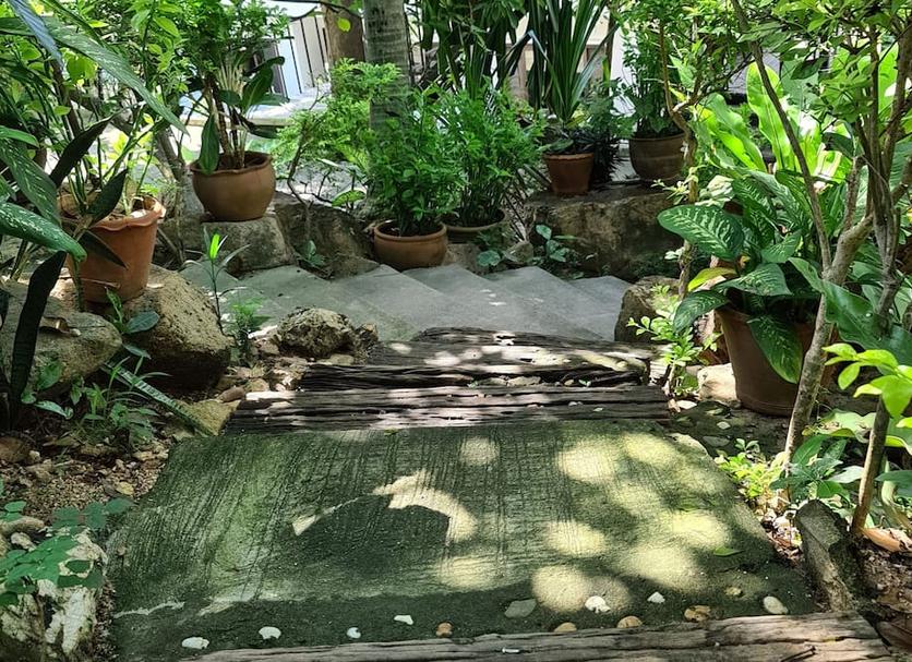 屋外の景色 写真