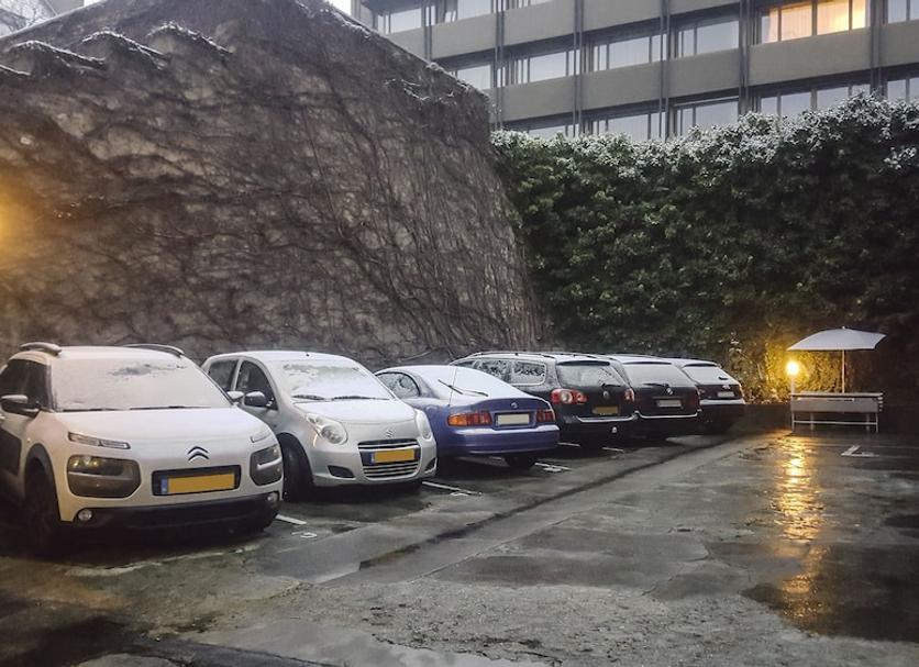 屋外の景色 写真