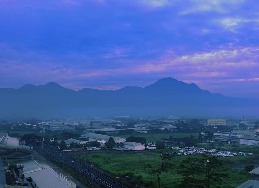 屋外の景色 写真