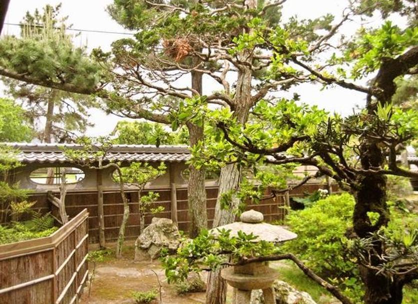 屋外の景色 写真