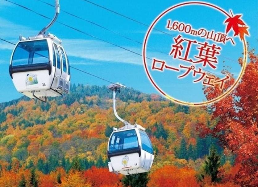 その他 写真