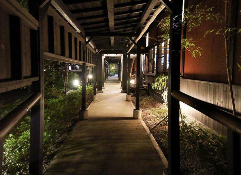 屋外の景色 写真