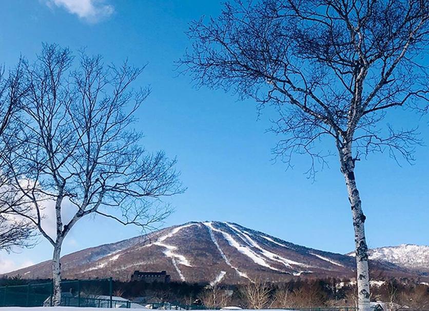 屋外の景色 写真