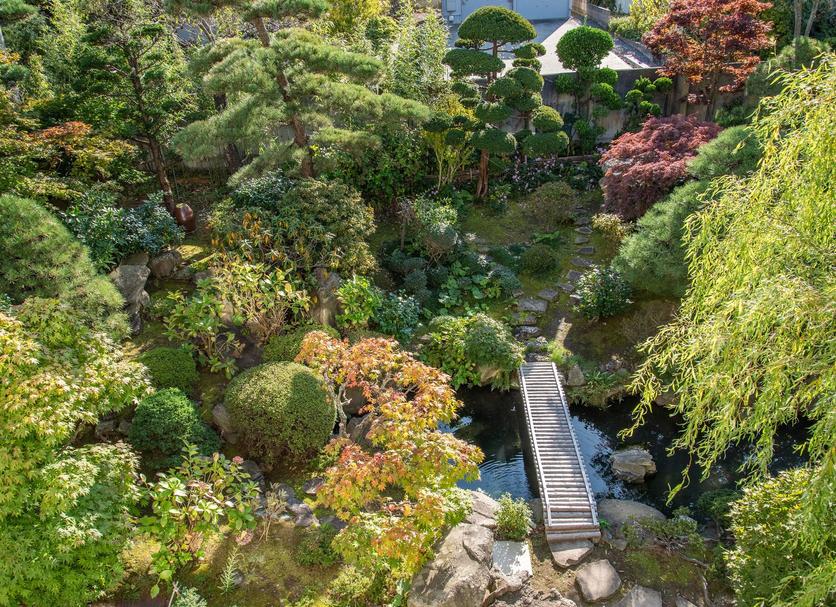 屋外の景色 写真
