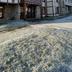 屋外の景色