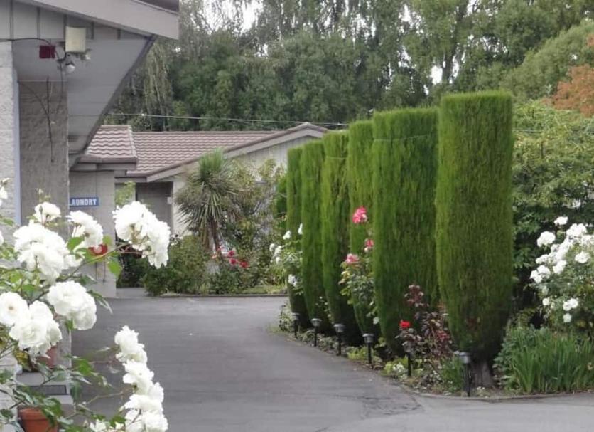 屋外の景色 写真