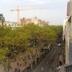 屋外の景色