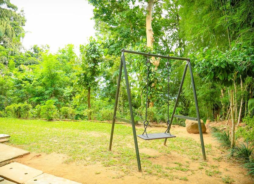 屋外の景色 写真
