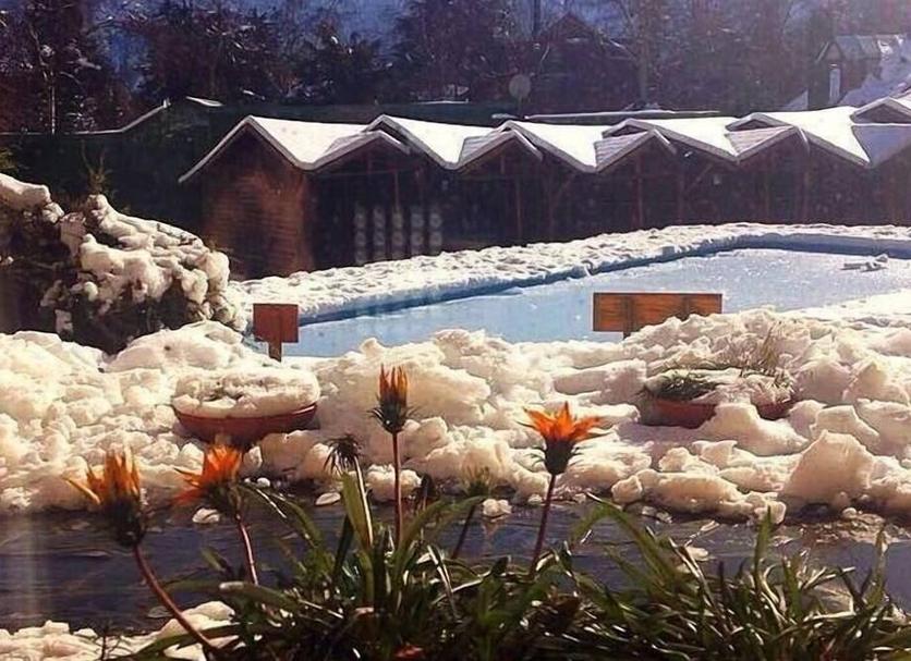 屋外の景色 写真