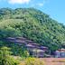 屋外の景色