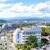 屋外の景色