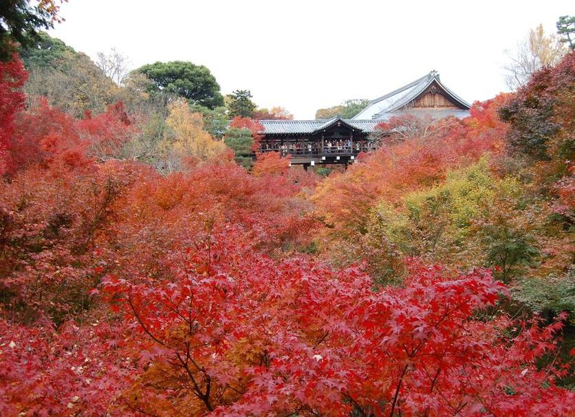 屋外の景色 写真