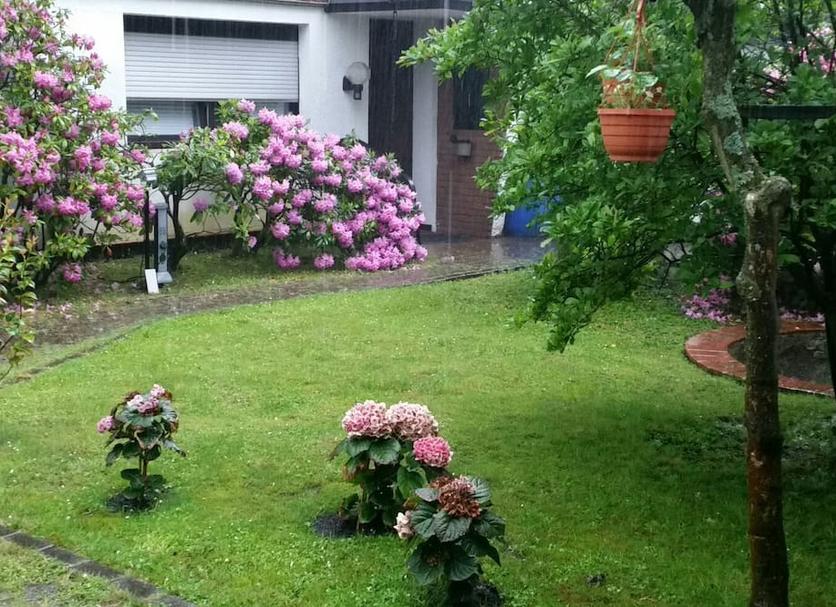 屋外の景色 写真