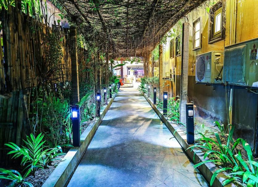 屋外の景色 写真