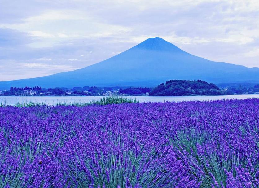 屋外の景色 写真