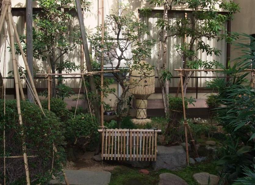 屋外の景色 写真