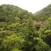 屋外の景色