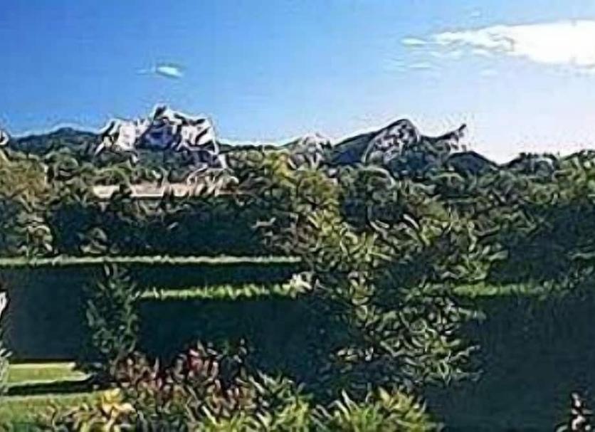 屋外の景色 写真