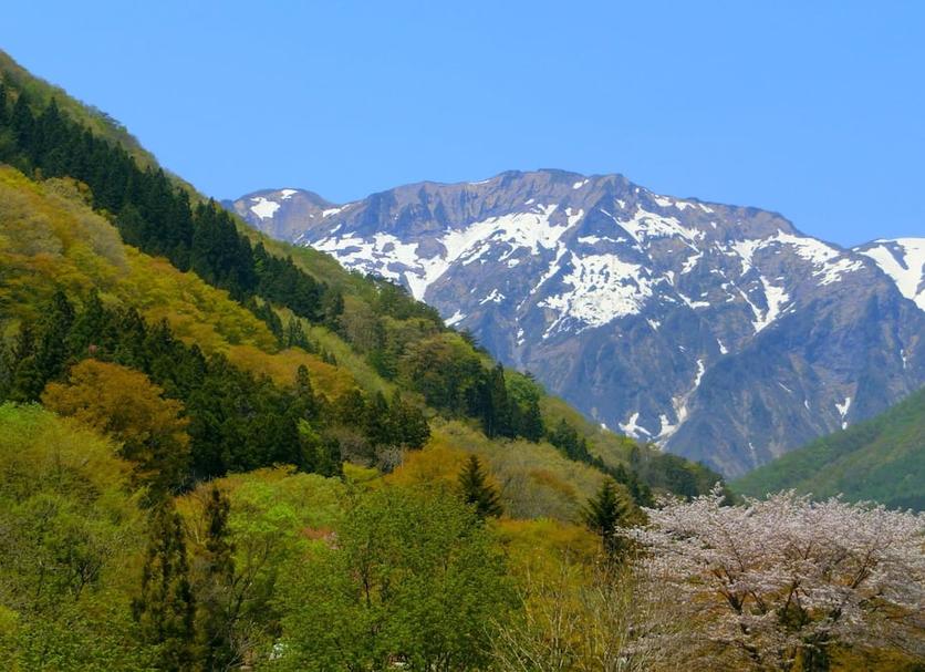 屋外の景色 写真