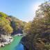 屋外の景色