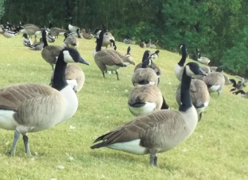 その他 写真