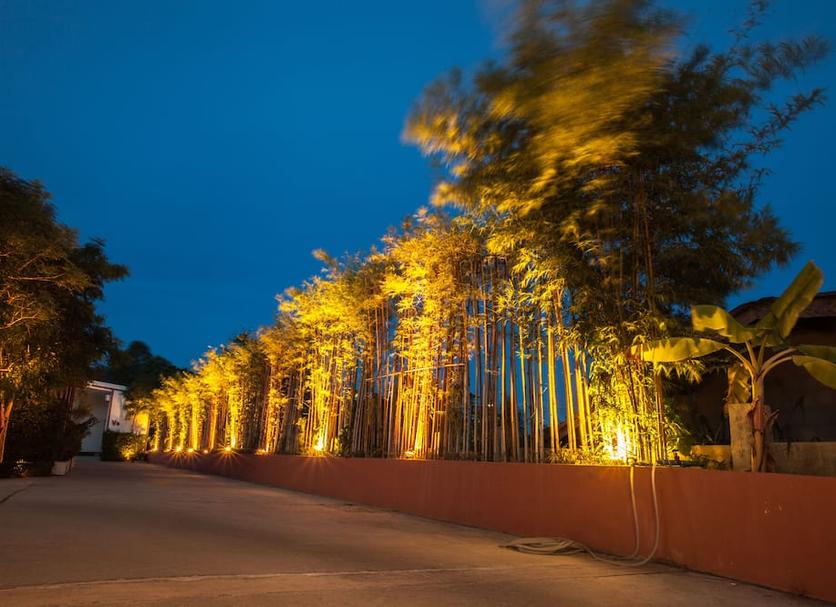 屋外の景色 写真