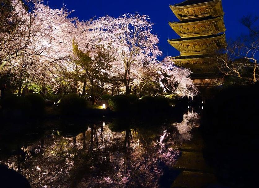 アトラクション 写真