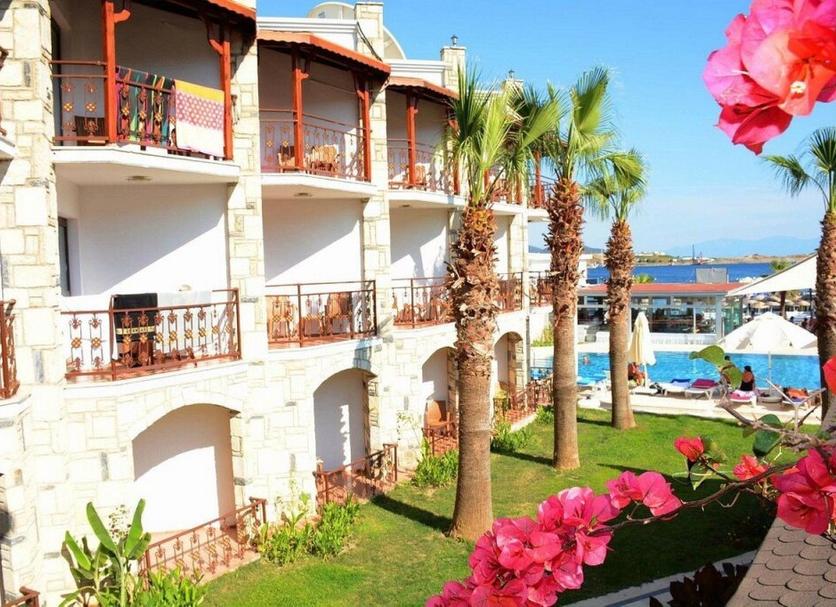 屋外の景色 写真