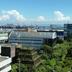屋外の景色