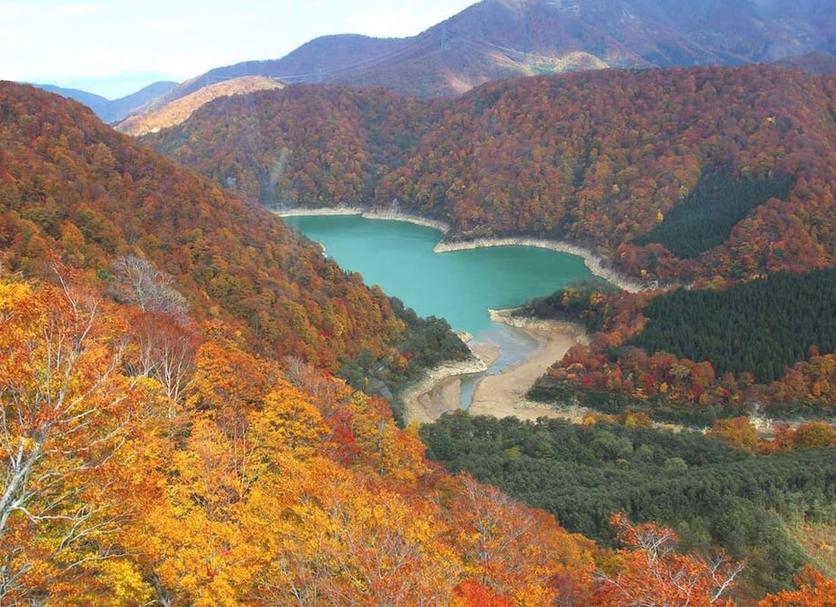屋外の景色 写真