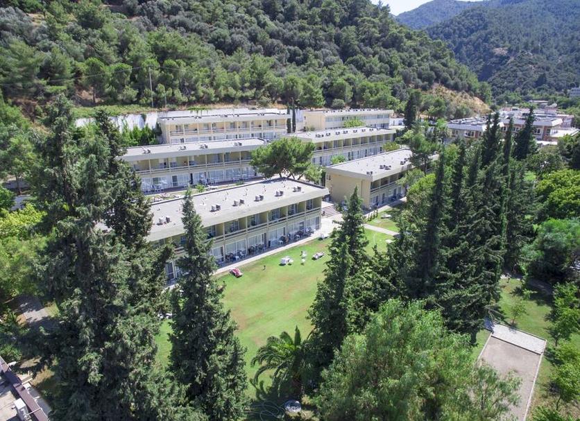 屋外の景色 写真