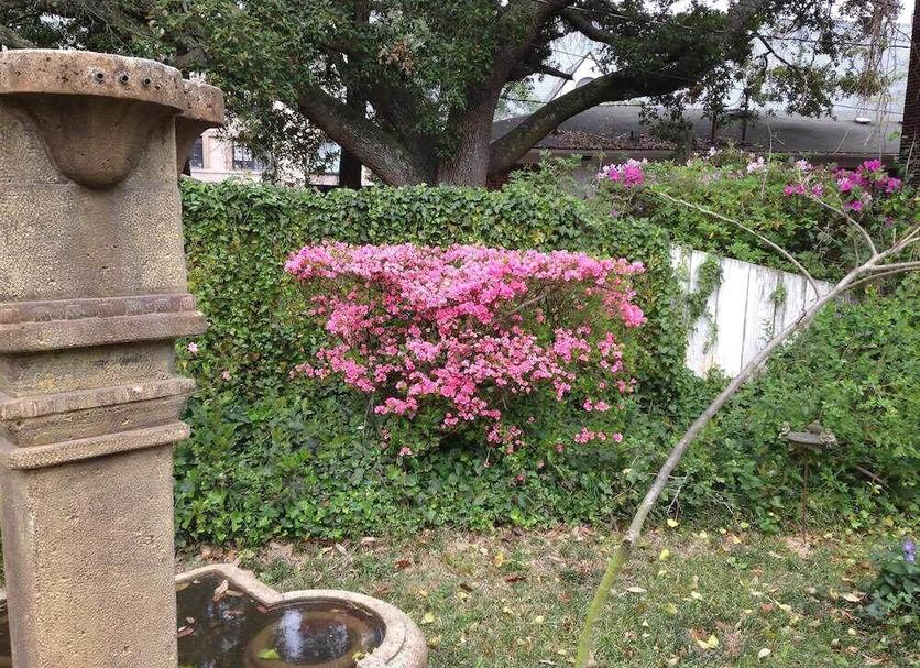 屋外の景色 写真