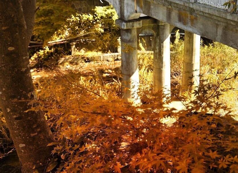屋外の景色 写真
