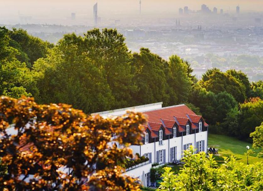 屋外の景色 写真