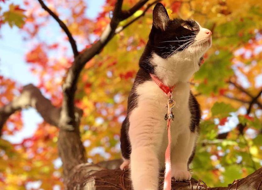 その他 写真