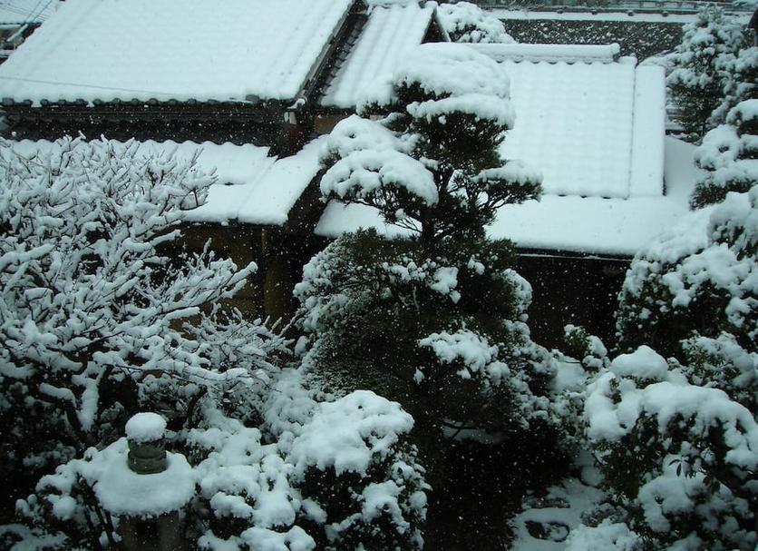 屋外の景色 写真